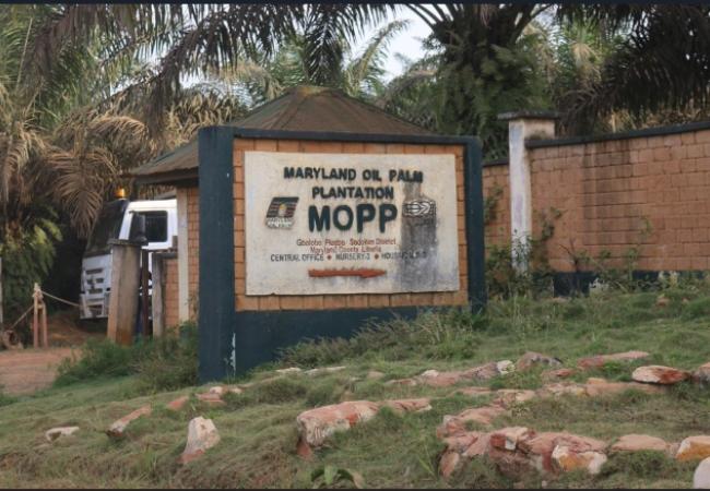 Maryland oil Palm Plantation (MOPP) Central Office